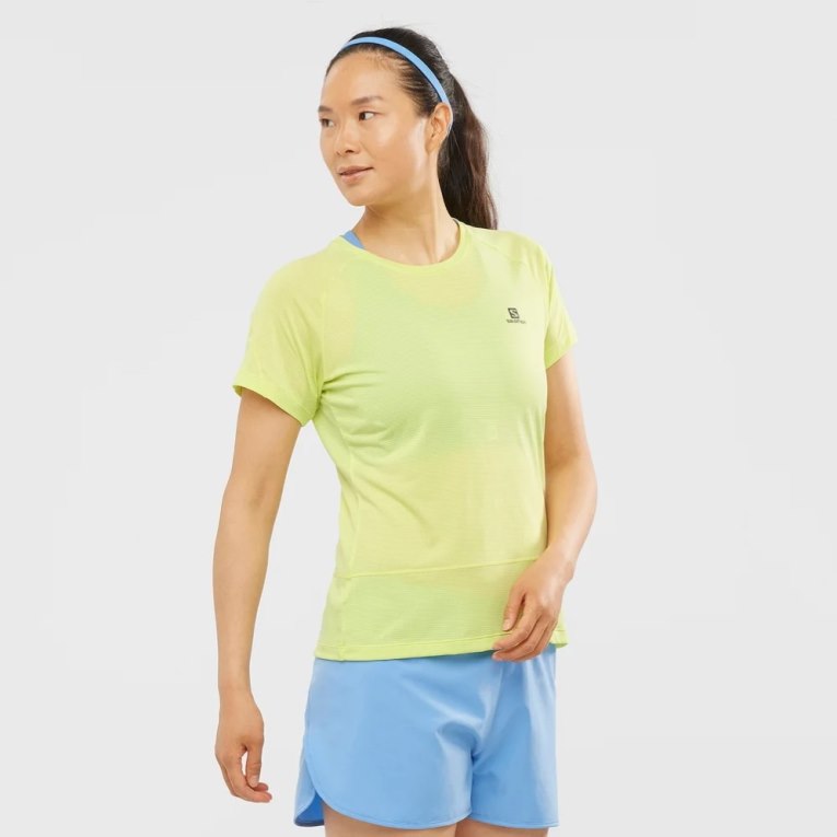 Camiseta Salomon Cross Run Corta Sleeve Mujer Azules | MX UACB197